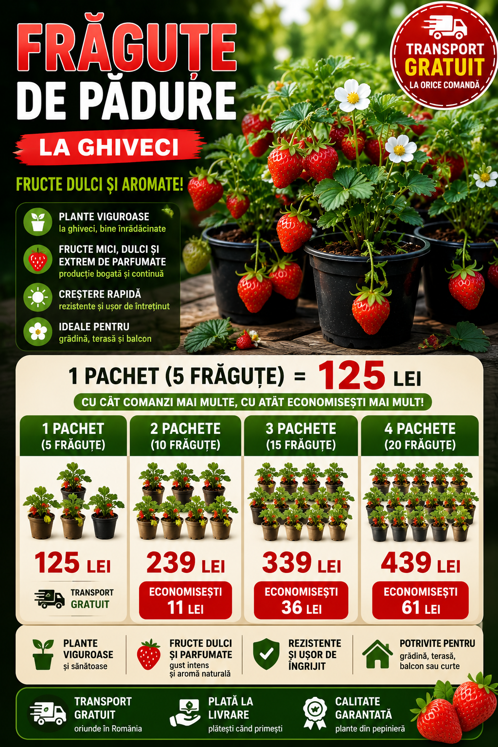 Pachet 5 Ghivece Frăguțe Naturale –fragaria vesca pe rod