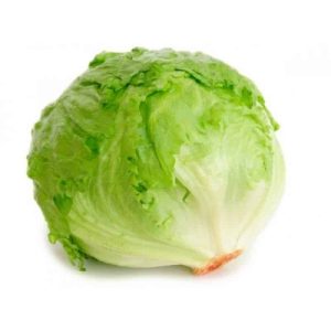 Salata great lakes 118