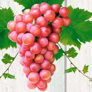 Vita de vie Lidia la ghiveci