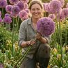 Alium Gigant – Pachet START | 3 bulbi PREMIUM · Flori „glob” spectaculoase