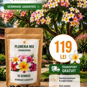 Pachet Avantaj – 10 Semințe Plumeria Mix (Frangipani) – 119 Lei