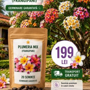 Pachet Family – 20 Semințe Plumeria Mix (Frangipani) – 199 Lei
