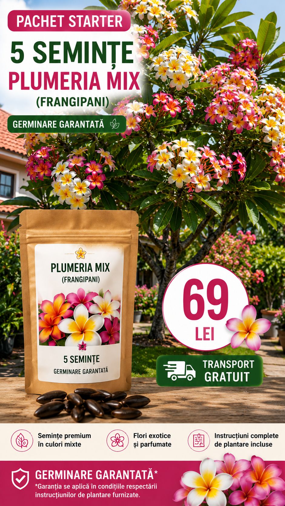 Pachet Starter – 5 Semințe Plumeria Mix (Frangipani) – 69 Lei