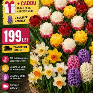 100 Bulbi Lalele Ice Cream Mix + 20 Narcise și 3 Zambile Cadou – Transport Gratuit
