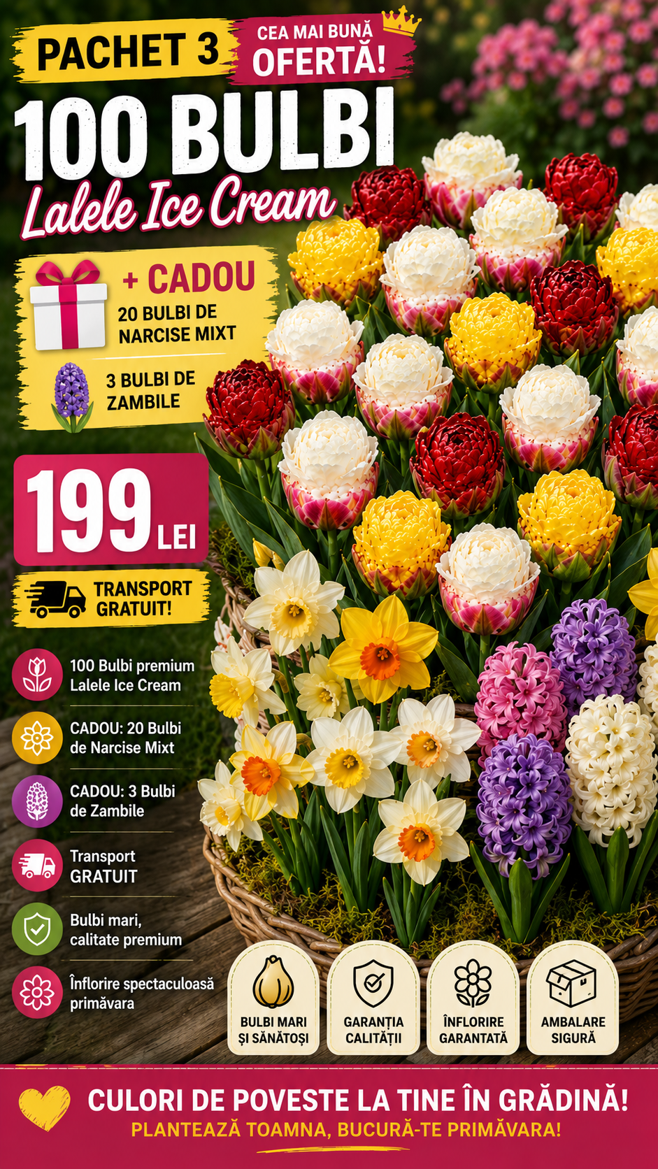 100 Bulbi Lalele Ice Cream Mix + 20 Narcise și 3 Zambile Cadou – Transport Gratuit