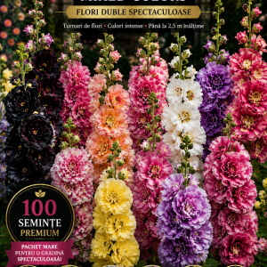 Hollyhock – Nalbă Imperială 100 seminte (100% germinare)