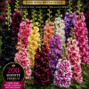 Hollyhock – Nalbă Imperială | 200 semințe| germinare garantata 100%