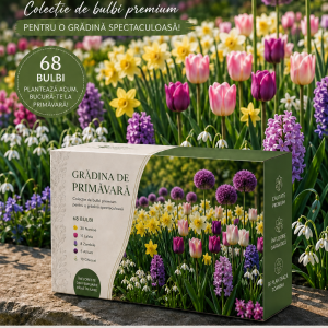 Grădina de Primăvară-68 de bulbi | 229 lei TRANSPORT GRATUIT