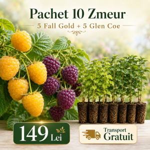 Pachet 10 Zmeur – 5 Fall Gold + 5 Glen Coe – 149 Lei | Transport Gratuit