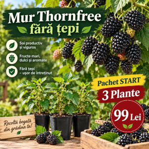 Mur Thornfree Fără Țepi – Pachet START – 3 Plante – 99 Lei