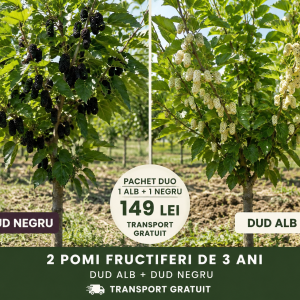 Pachet Duo Dud Alb + Dud Negru – 2 Pomi Fructiferi – 149 Lei