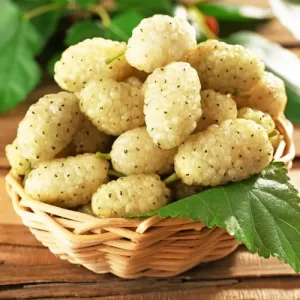 Dud Alb – Pom Fructifer, 1 Bucată – 99 Lei