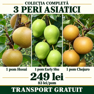 Pachet 3 peri asiatici Hosui + Early Shu + Chojuro – colecția completă, 249 lei
