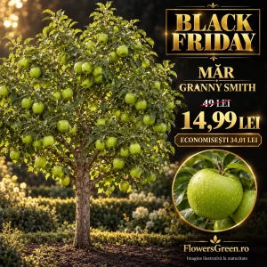 Măr Granny Smith