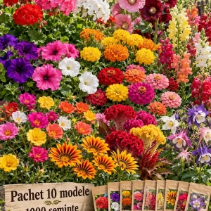 Pachet 10 modele de semințe de flori – 1000 semințe, selecție la alegere